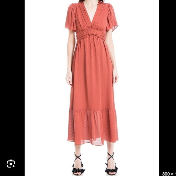 NWT Max Studio Women's Jacquard Shine Dot Cinched Waist Midi Dress Russet Small - Picture 4 of 16